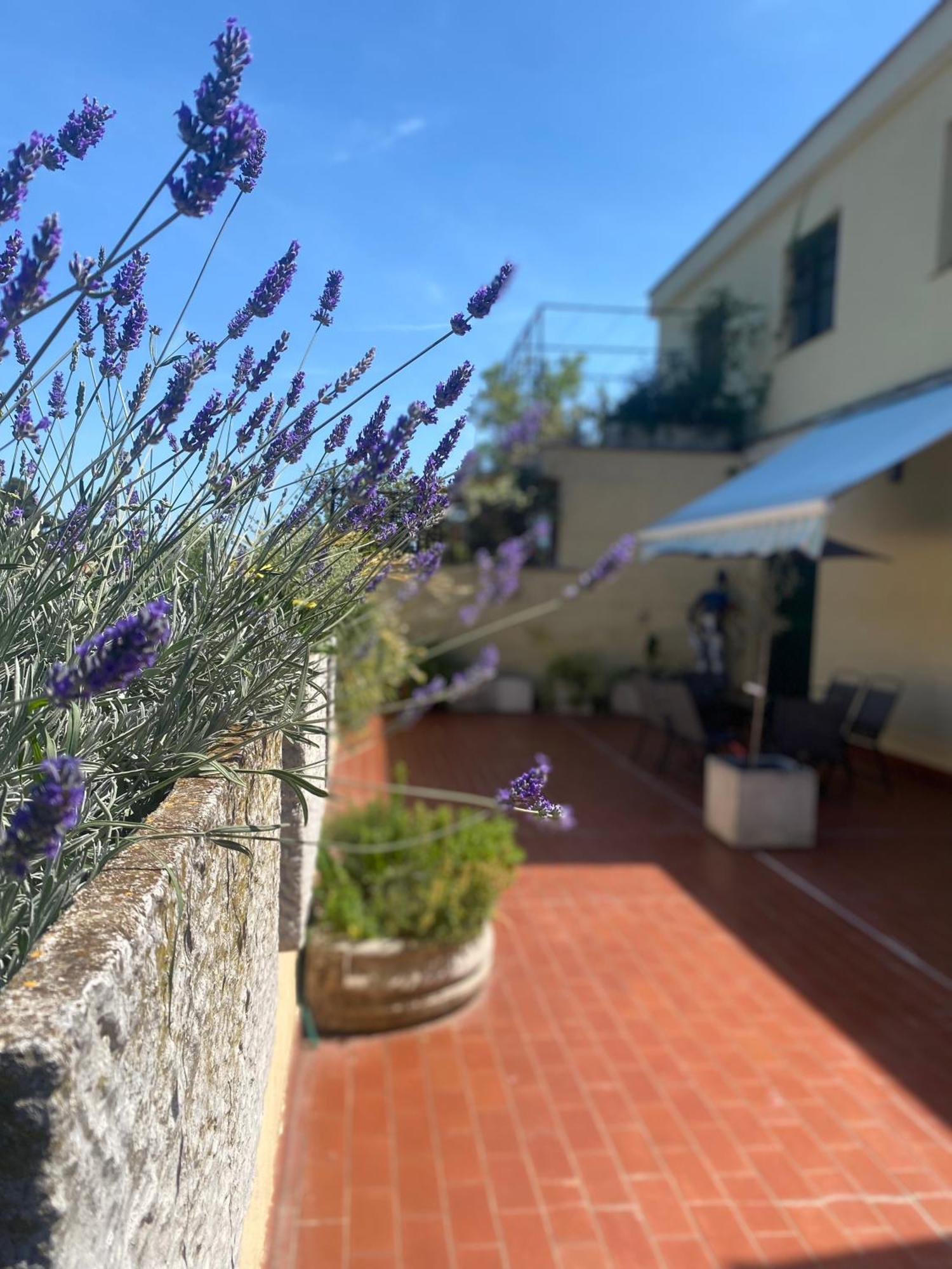 Appartement Terrazza Flaminia Rome