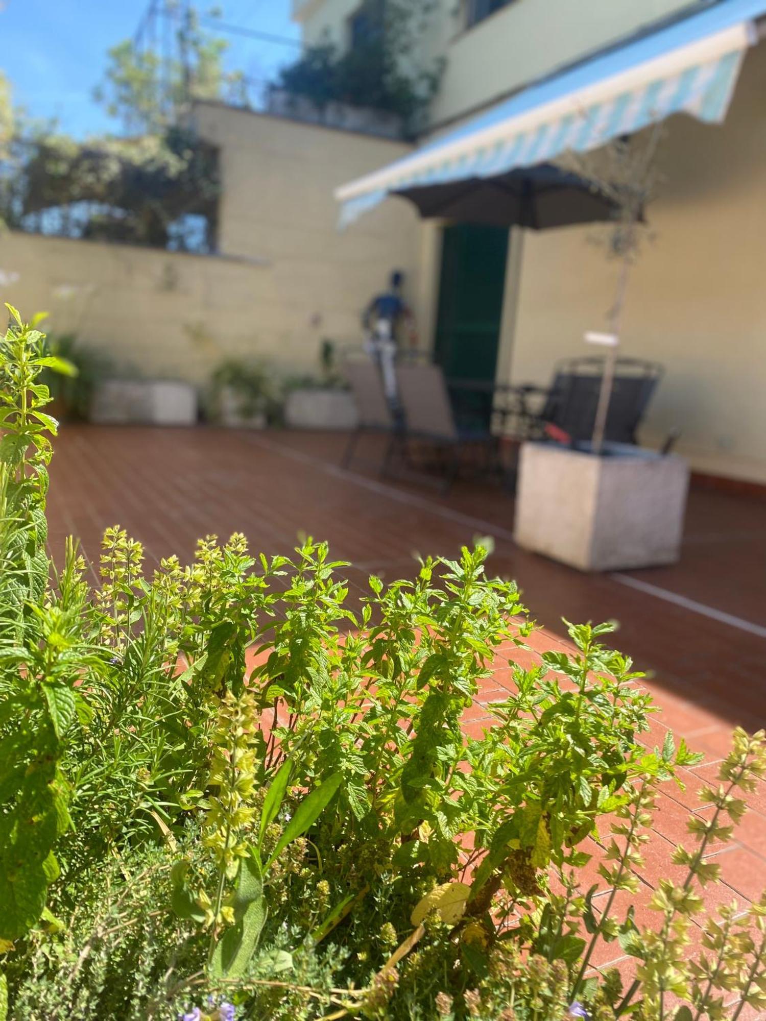 Appartamento Terrazza Flaminia